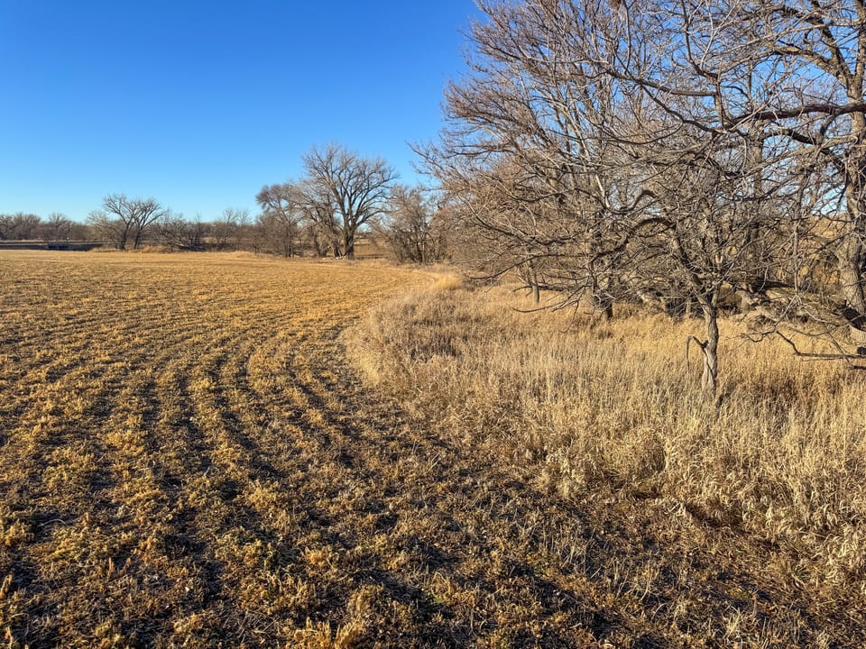 Holly Creek Farm