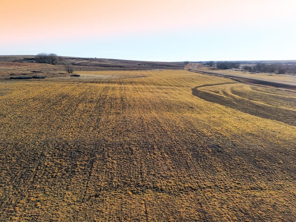Holly Creek Farm