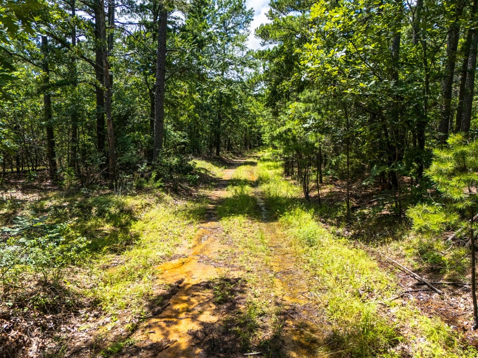 Maxwell Creek Road Farm