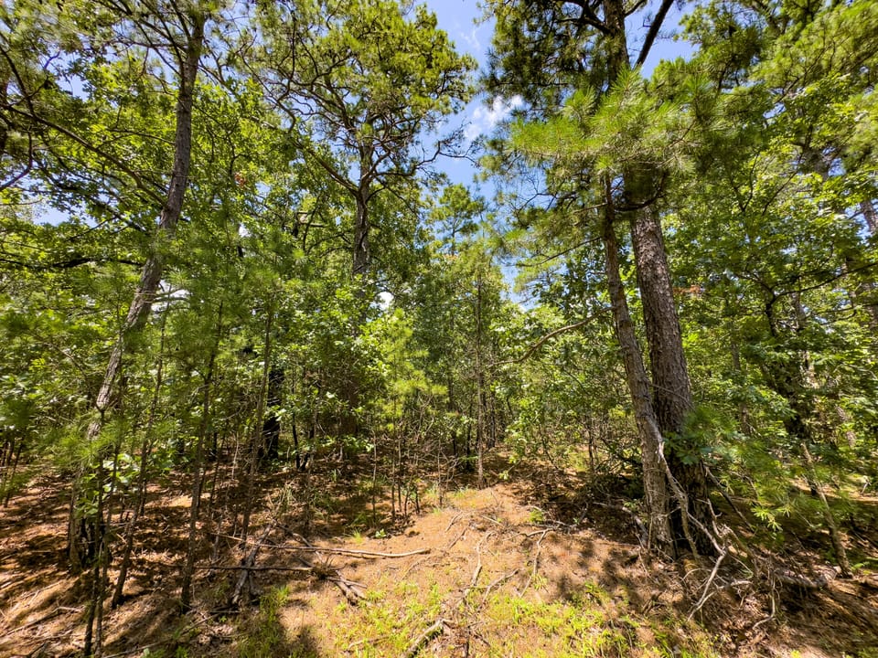 Maxwell Creek Road Farm