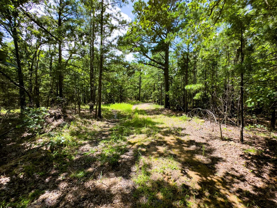 Maxwell Creek Road Farm