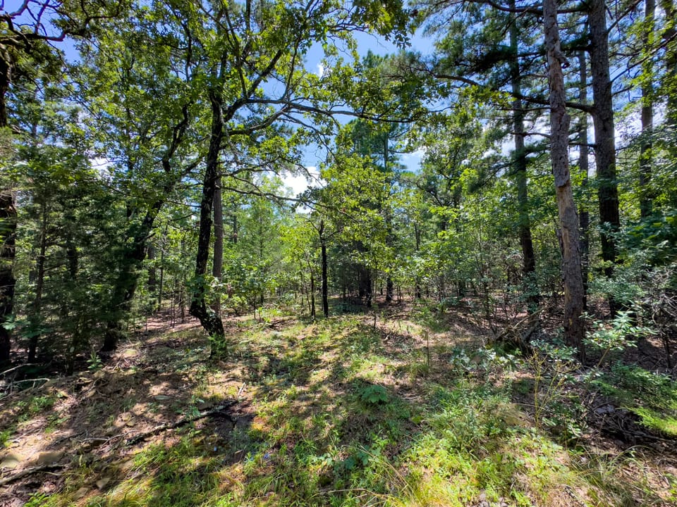 Maxwell Creek Road Farm