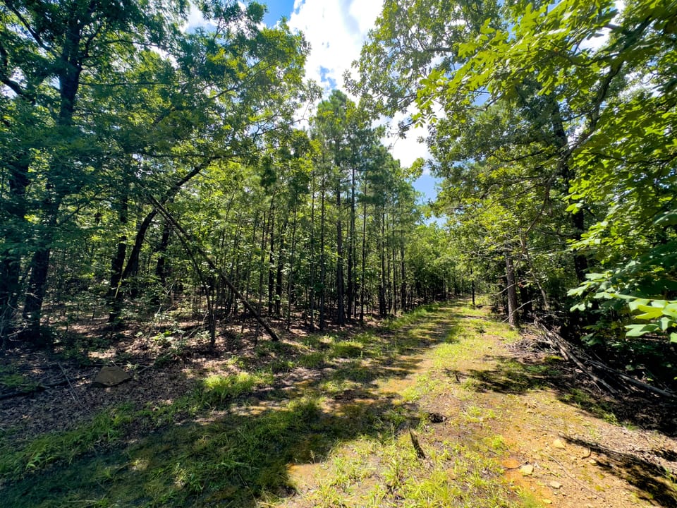 Maxwell Creek Road Farm