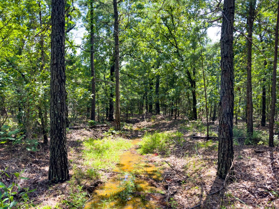 Maxwell Creek Road Farm