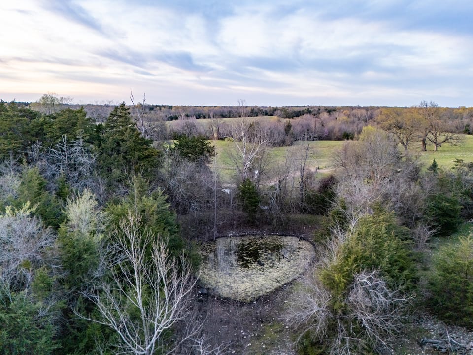 Tall Pines Hunting With Cabin