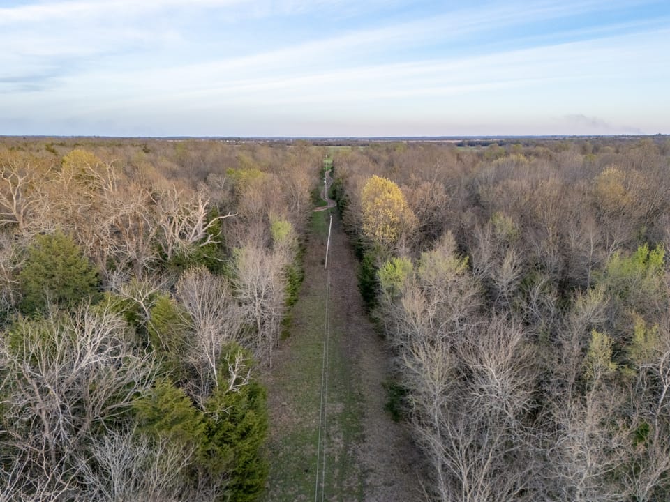 Tall Pines Hunting With Cabin