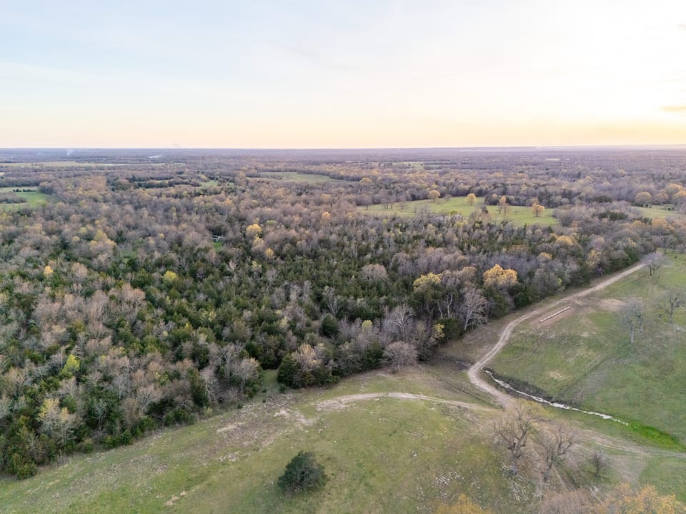 Tall Pines Hunting With Cabin