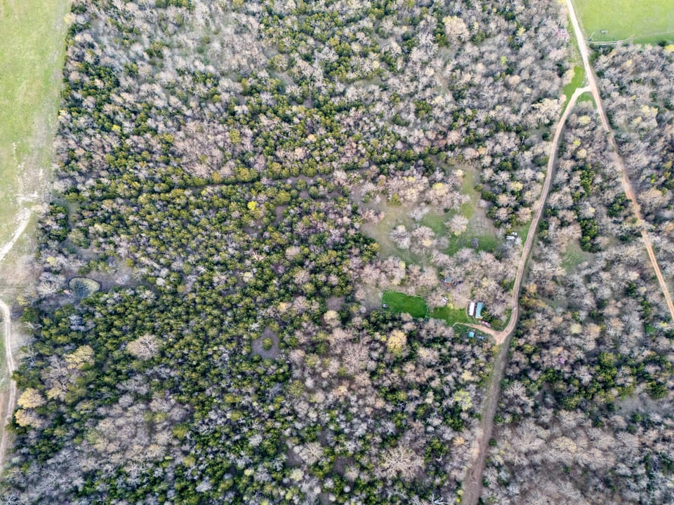Tall Pines Hunting With Cabin