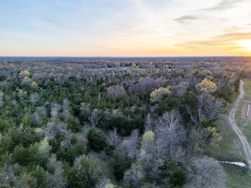 Tall Pines Hunting With Cabin