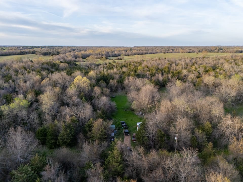 Tall Pines Hunting With Cabin