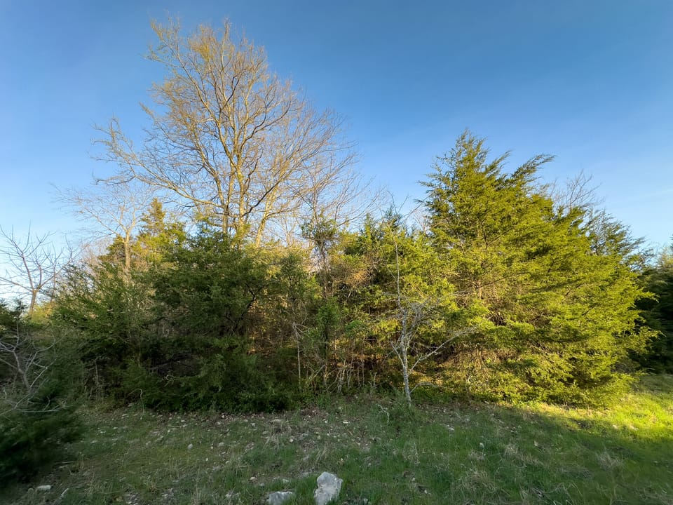 Tall Pines Hunting With Cabin