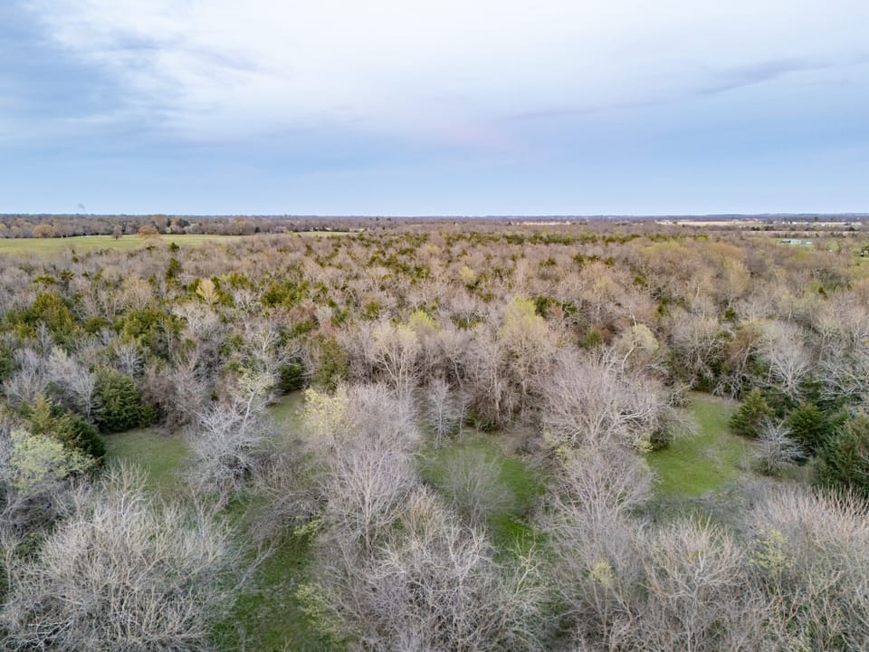 Tall Pines Hunting With Cabin