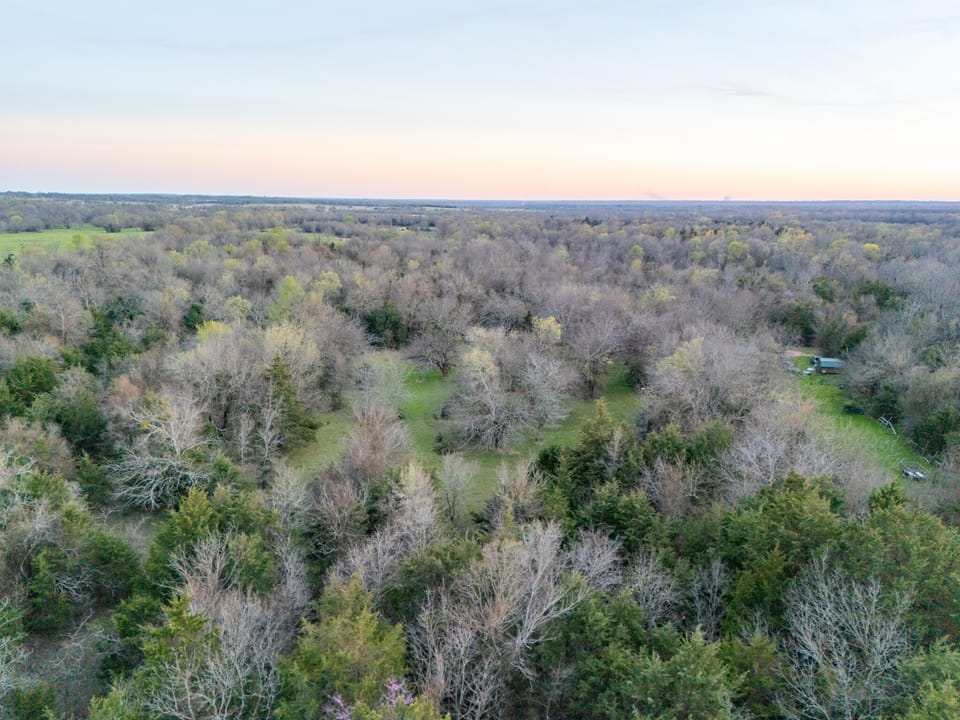 Tall Pines Hunting With Cabin
