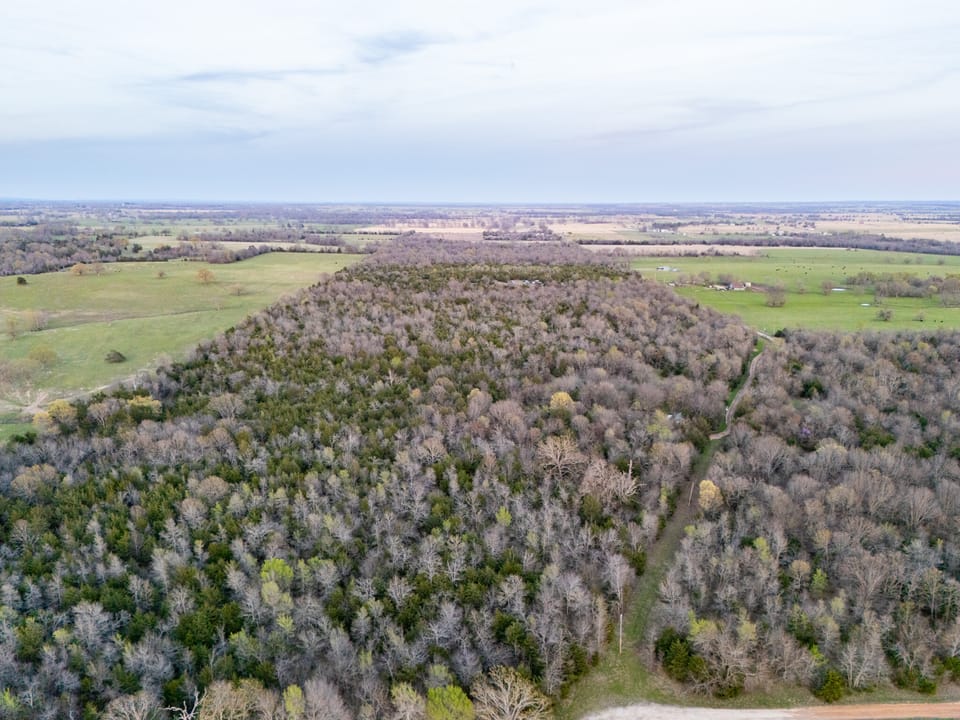 Tall Pines Hunting With Cabin