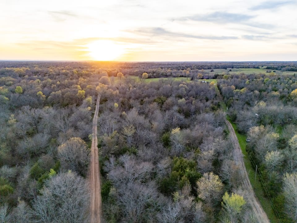 Tall Pines Hunting With Cabin