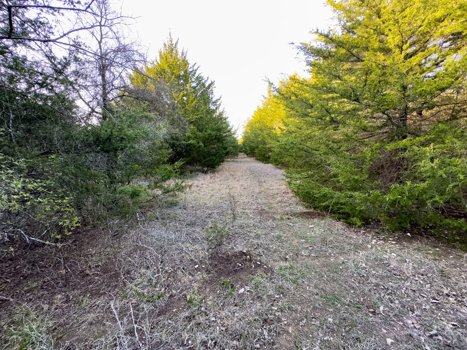 Tall Pines Hunting With Cabin