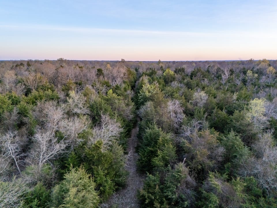 Tall Pines Hunting With Cabin