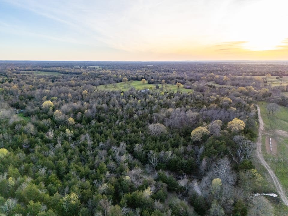 Tall Pines Hunting With Cabin