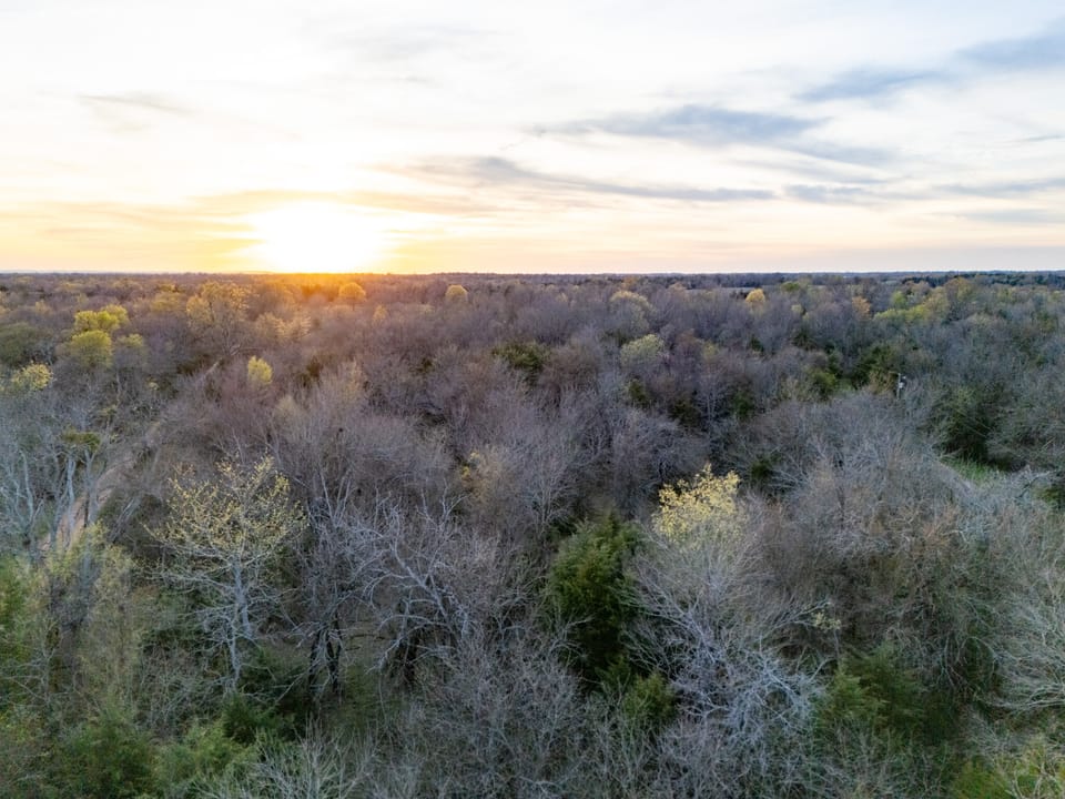 Tall Pines Hunting With Cabin