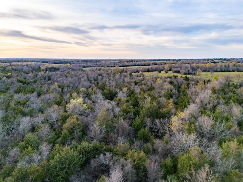 Tall Pines Hunting With Cabin