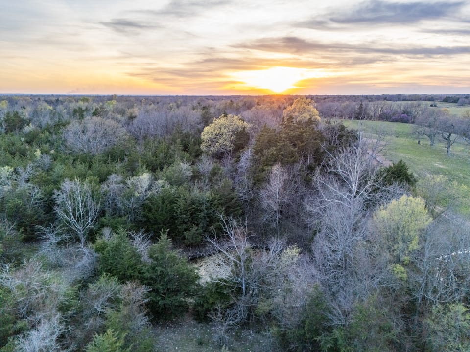 Tall Pines Hunting With Cabin
