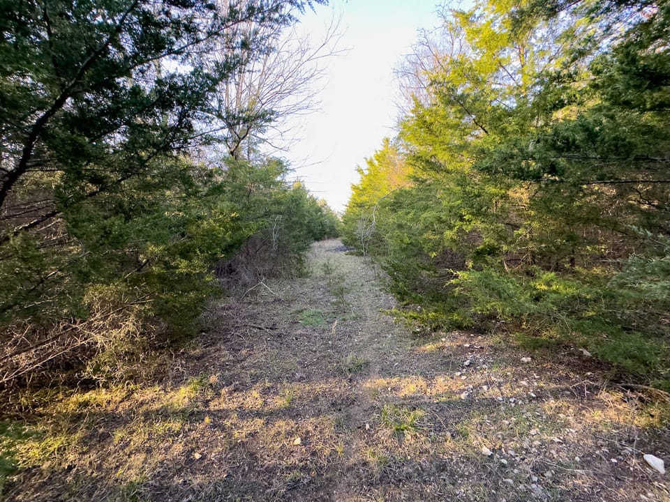 Tall Pines Hunting With Cabin