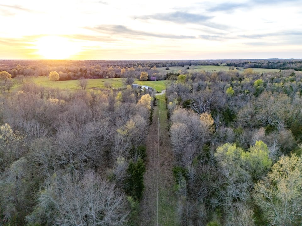 Tall Pines Hunting With Cabin
