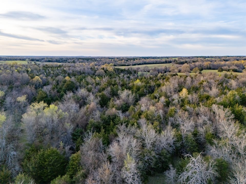 Tall Pines Hunting With Cabin