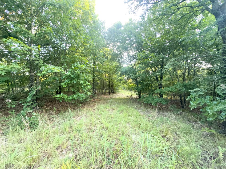 Duck Roost Ranch