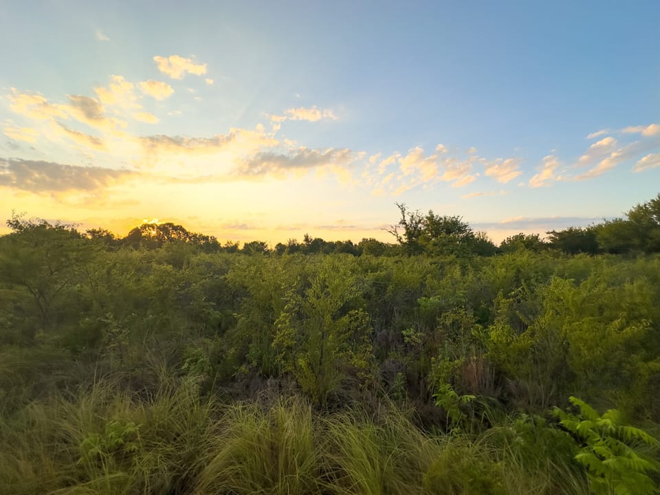 Duck Roost Ranch