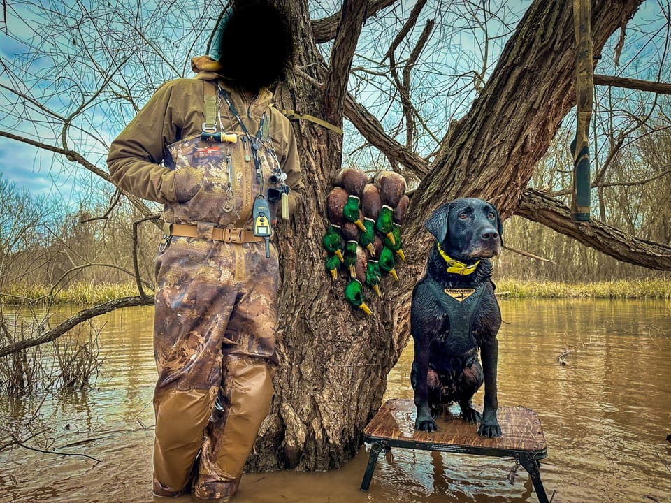 Duck Roost Ranch