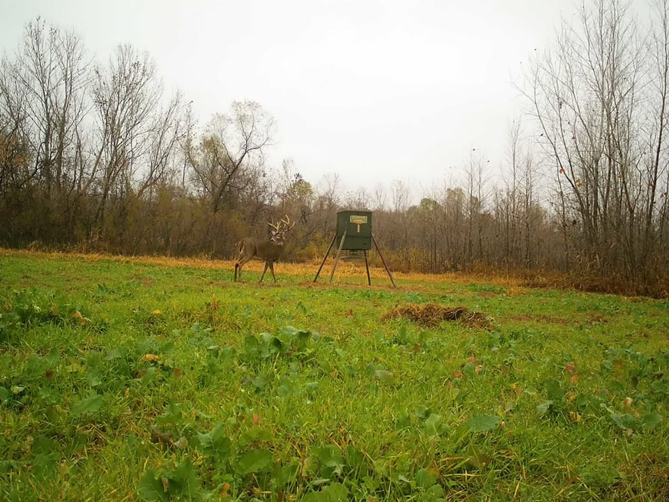 Duck Roost Ranch