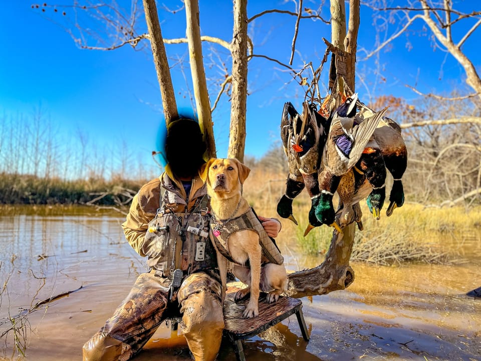 Duck Roost Ranch