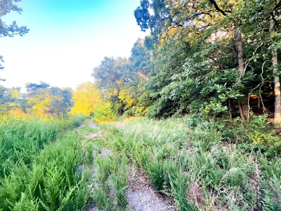 Duck Roost Ranch