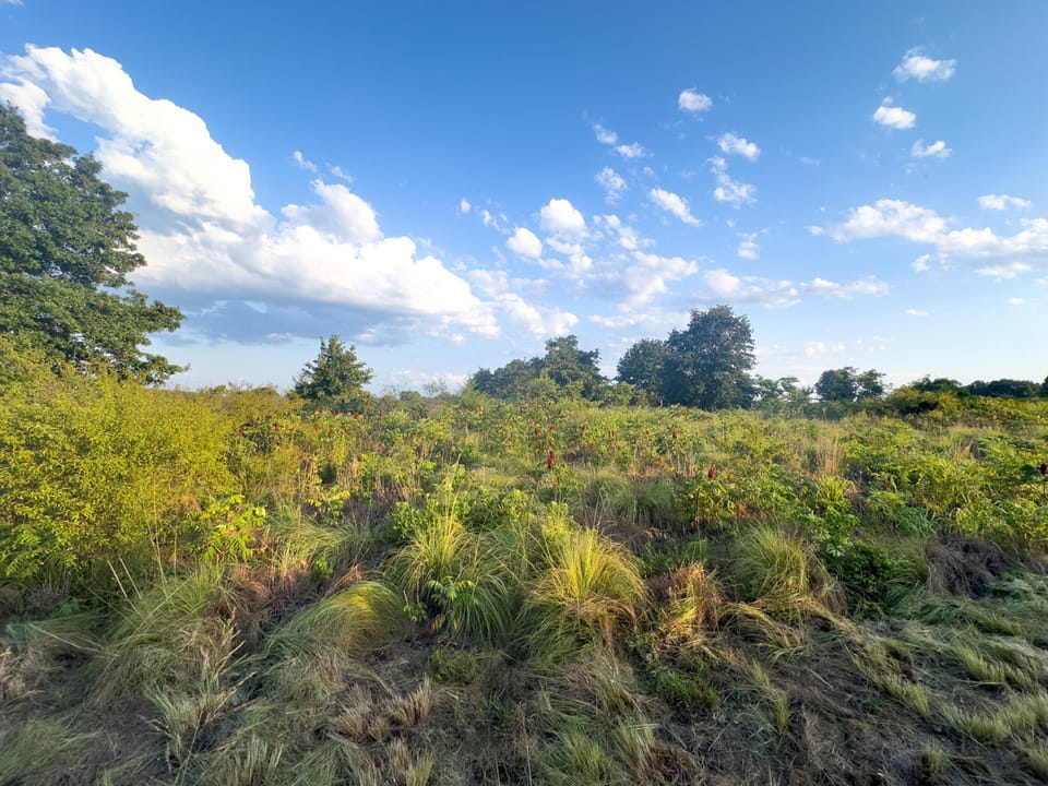 Duck Roost Ranch