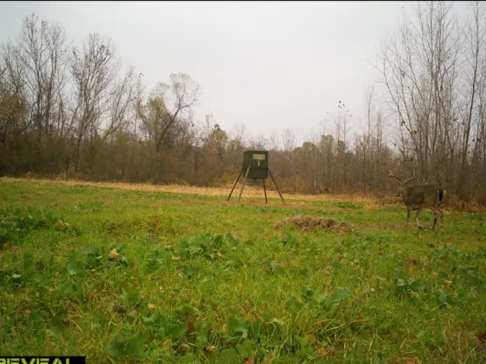 Duck Roost Ranch
