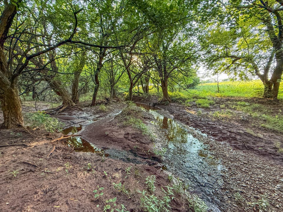 Split Creek Farm