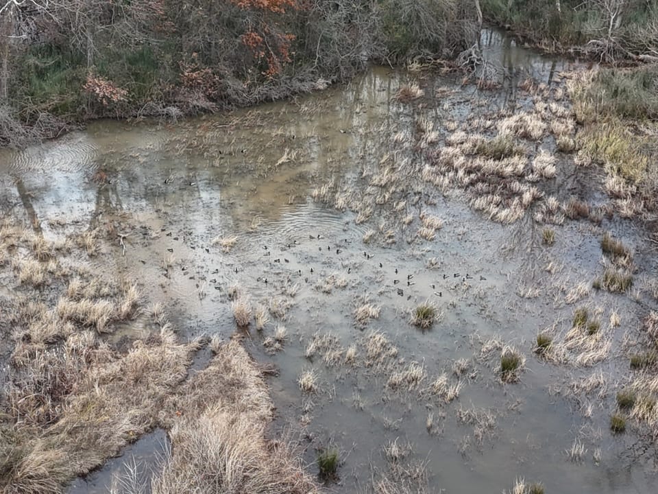 Duck Roost Ranch