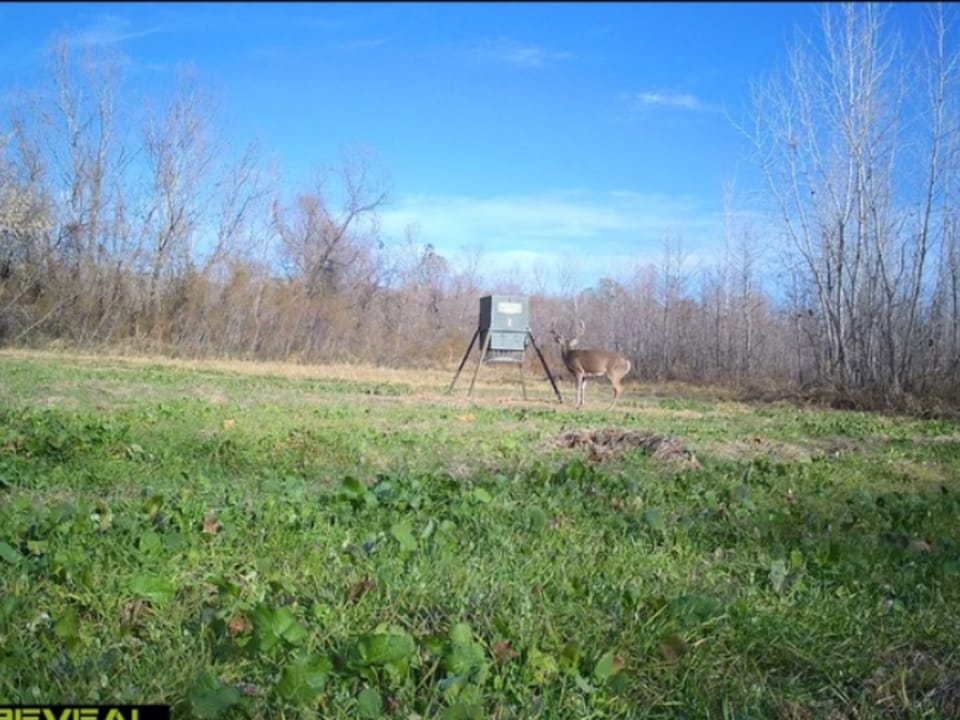 Duck Roost Ranch