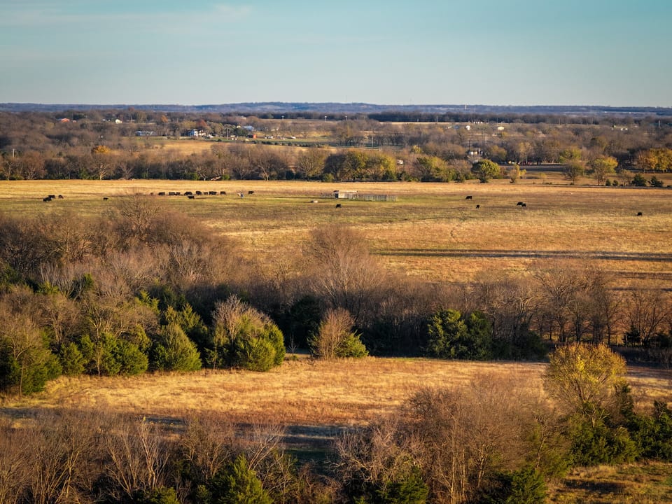 Grazing/Rec Acreage with Future Homesite