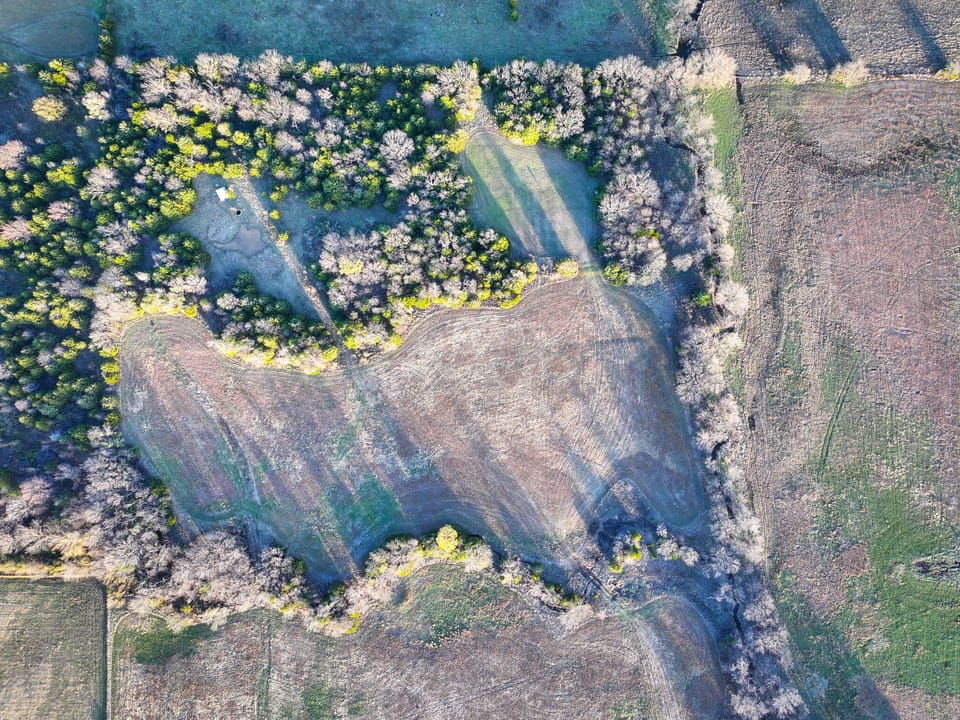 Grazing/Rec Acreage with Future Homesite