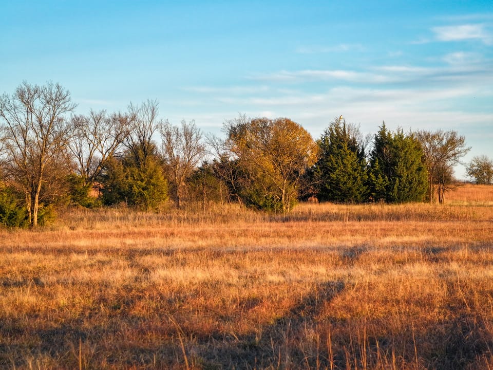 Grazing/Rec Acreage with Future Homesite