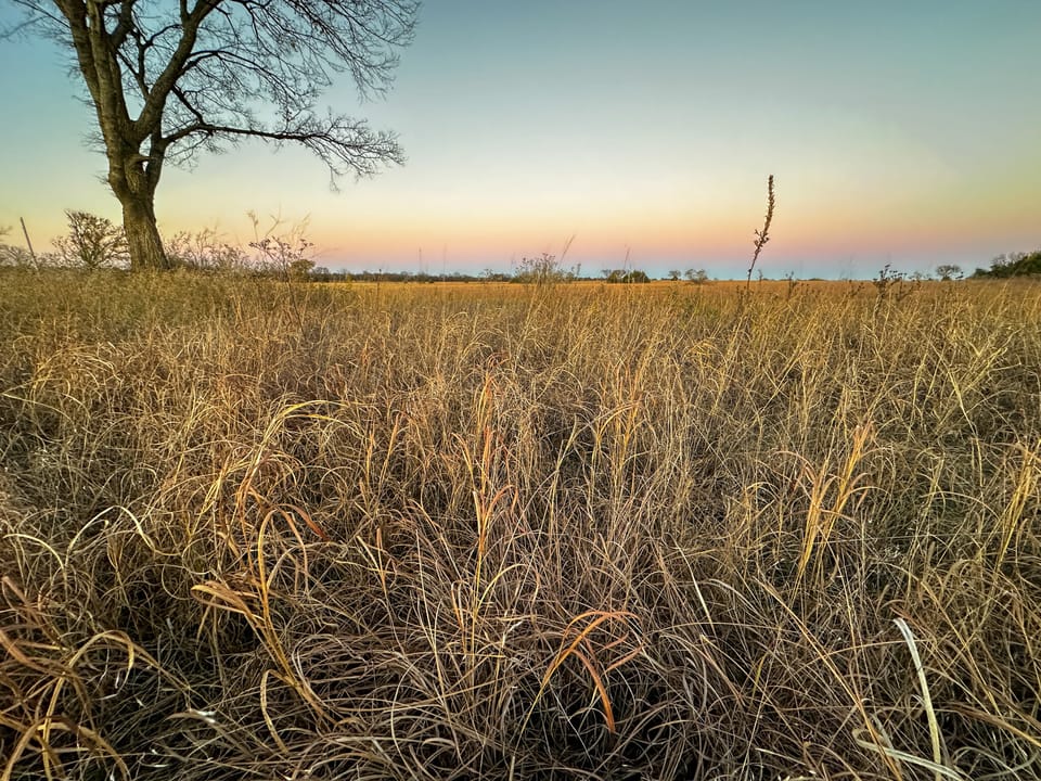 Grazing/Rec Acreage with Future Homesite