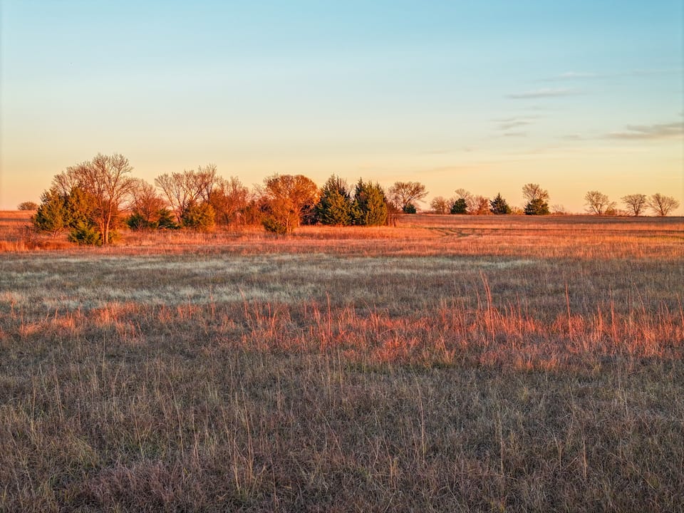 Grazing/Rec Acreage with Future Homesite