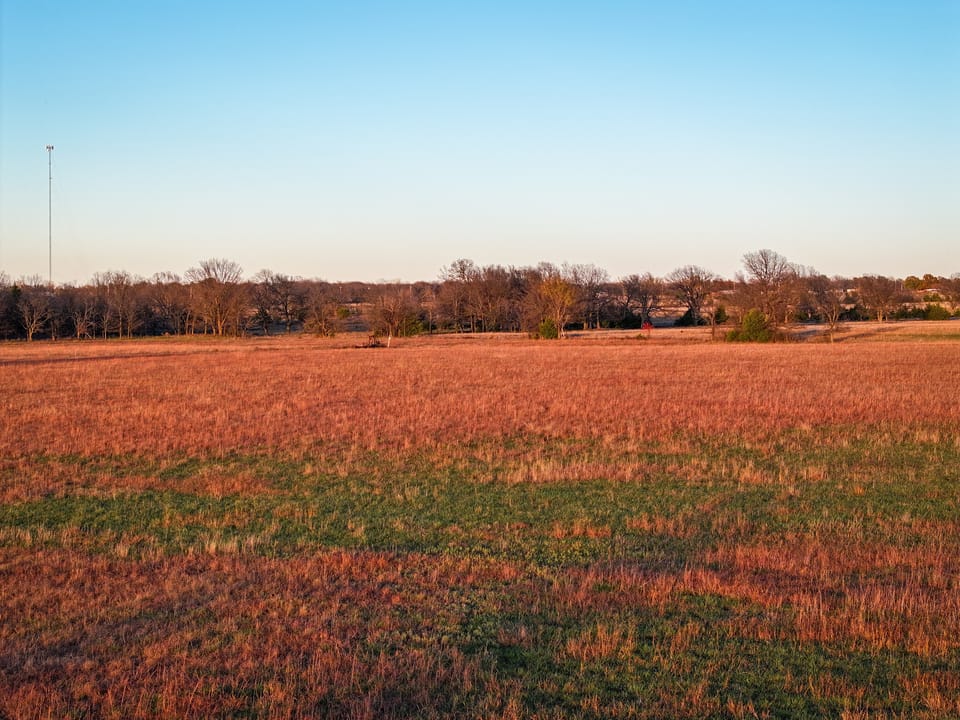 Grazing/Rec Acreage with Future Homesite