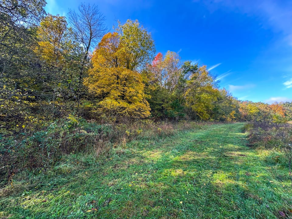 Deer Creek Legacy Farm