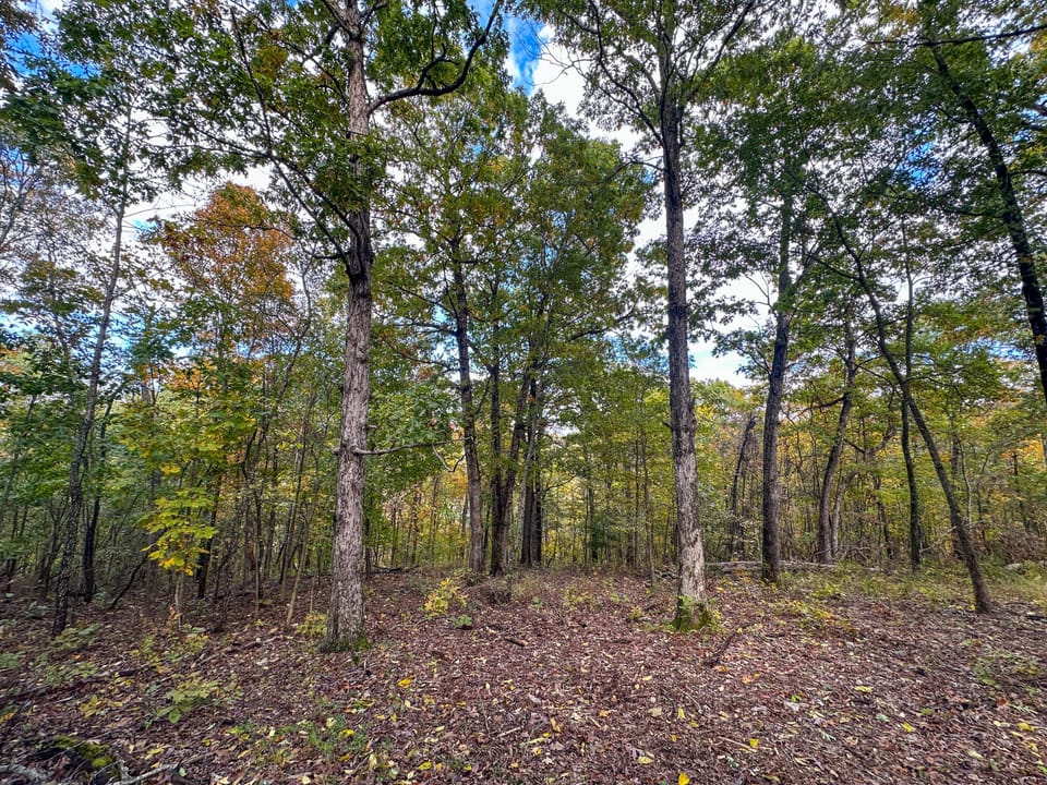 Deer Creek Legacy Farm