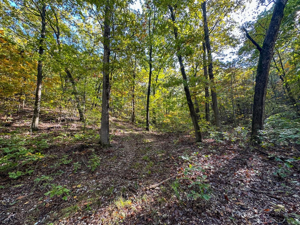 Deer Creek Legacy Farm