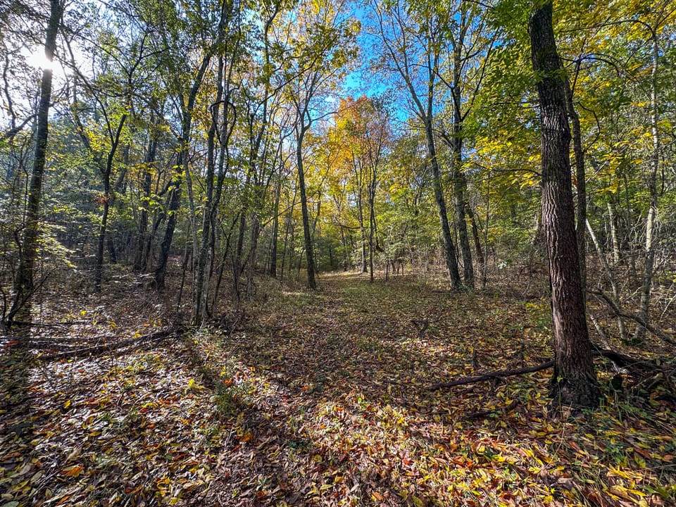 Deer Creek Legacy Farm