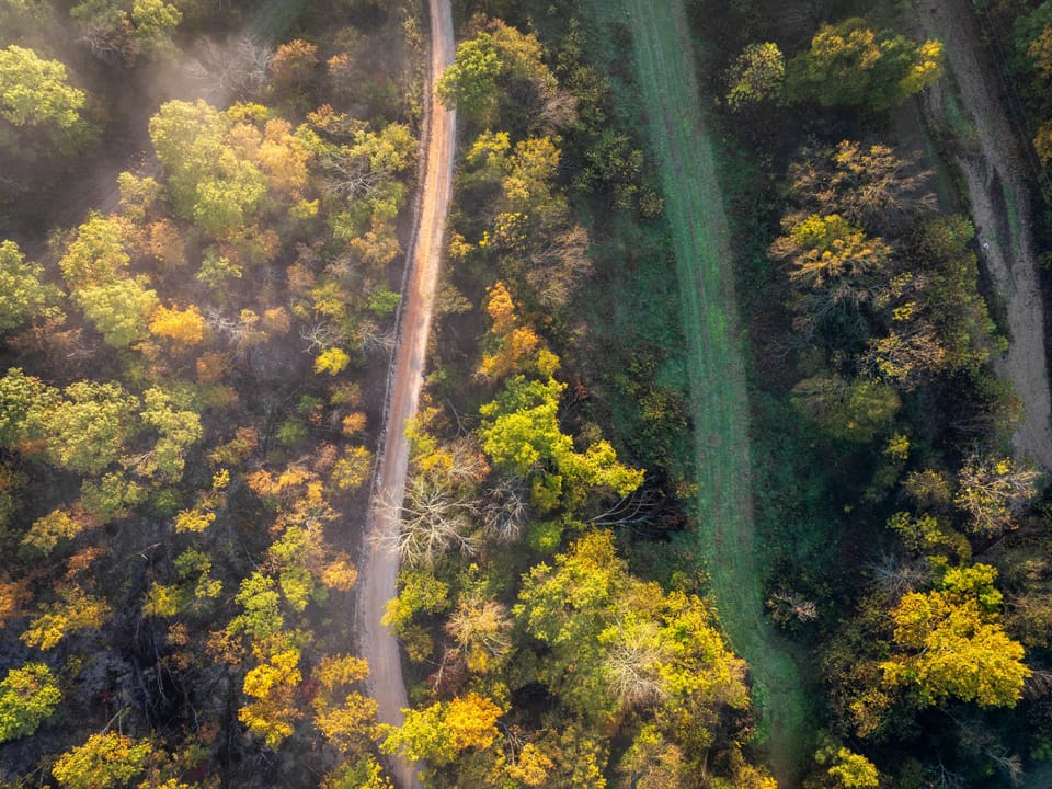 Deer Creek Legacy Farm